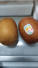 佳沛（zespri）新西兰 阳光金果12粒单果约122-146g 猕猴桃 水果礼盒 实拍图