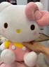 Hello Kitty三丽鸥KT猫毛绒玩偶玩具抱枕女孩娃娃元旦新年礼物女孩生日礼物 实拍图