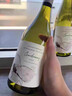 长城特级莎当妮干白葡萄酒 橡木桶陈酿750ML单瓶装 实拍图