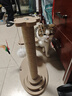 HELLOJOY猫抓板猫爬架一体耐磨不掉屑剑麻抓柱耐抓逗猫棒猫咪玩具自嗨解闷 实拍图