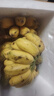 广西小米蕉小香蕉自然熟迷你香蕉苹果蕉小芭蕉新鲜水果特产鸡蕉 小米蕉 9斤 泡沫箱打包 实拍图