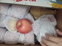 京鲜生 陕西洛川苹果红富士 净重10斤 单果180g-220g 生鲜水果 实拍图