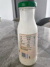 冠利（KUHNE）德国进口 酸乳酪沙拉酱250ml 蔬菜水果色拉酱三明治汉堡调味酱 实拍图
