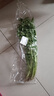 带根香菜100g 实拍图