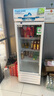 白雪雅竹大容量饮料柜商用冰柜直冷藏展示柜酒水柜纯风冷无霜保鲜柜超市玻璃门冰箱立式啤酒柜 小单门【直冷蓝白】530*540*1630mm 实拍图