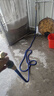 巨木高压洗车水枪抢家用神器伸缩水管软管自来水喷头冲洗喷枪增压加压 【50倍螺旋增压】15米套装 实拍图