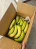 精品云南香蕉高山香蕉现摘新鲜水果甜生青香蕉banana自然熟绿皮 精品高山蕉 9斤 实拍图