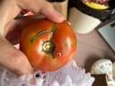 水果番茄西红柿自然成熟沙瓤皮薄新鲜蔬菜生鲜瘦身减脂可生吃 大果，净重 4.5斤 单果＞100g 实拍图