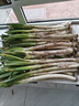 水果蔬菜 新鲜大葱 农家自产 新鲜蔬菜 5斤带皮大葱【净重5斤】 25000g 实拍图