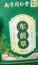 南同九坊南京同仁堂 车前草(50包) 精选车轮菜牛舌草茶包养生茶泡水喝 实拍图