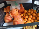 京鲜生 金秋砂糖橘/砂糖桔 5斤 生鲜水果礼盒  实拍图