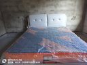 帝威奴【包安装】床皮床科技布双人床简约软靠卧室实木大床 浅灰床+抽真空布袋簧席梦思 1.8米*2米 实拍图