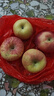 正宗烟台苹果栖霞红富士脆甜新鲜水果整箱生鲜苹果水果 净重4.5斤75mm 实拍图