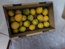 京鲜生 融安金桔/脆蜜金柑 净重1斤 单果18g起 生鲜水果 实拍图