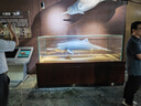 露安适（Lelch）微气候系列日用纸尿裤S56片(4-8kg) 新生儿小号婴儿纸尿裤尿不湿 实拍图