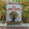 皇家猫粮 英短成猫粮 BS34 通用粮 12月以上 10KG 实拍图