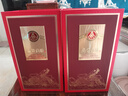 五粮液（WULIANGYE）股份出品 盛世佳酿 52度浓香型白酒整箱  过节送礼婚宴喜酒 52度 500mL 1瓶 盛世佳酿有凤来仪 实拍图