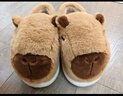 QYCKABY卡皮巴拉儿童棉拖鞋女童冬季包跟室内家居保暖亲子款可爱棉鞋男童 卡其【卡皮巴拉包根】 36 -37标准码 实拍图