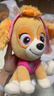 汪汪队立大功（PAW PATROL）毛绒公仔男孩女孩生日礼物玩具经典款天天公仔中号22.9CM 实拍图