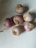 志褚独头蒜大蒜头 2024云南大理紫皮独蒜 精品新鲜现挖湿蒜 5斤装【大果3.0-3.5cm】 实拍图