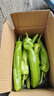新鲜青尖椒超市生鲜蔬菜下饭菜虎皮尖椒鸡蛋伴侣 尝鲜 500g 含箱 实拍图