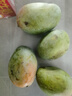 集南鲜 凯特芒果 四川攀枝花芒果当季大青皮黄皮大芒果新鲜水果整箱 含箱10斤  单果400g起  净重9斤 实拍图