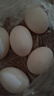 均鲜新鲜土鸽子蛋杂粮喂养农家特产白鸽蛋信鸽蛋孕妇宝宝年货节礼盒装 30枚750g左右精选大个种鸽蛋 实拍图