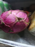 海南红心火龙果金都一号装新鲜采摘现摘现发 火龙果带箱3斤（单果300g-400g） 实拍图