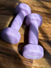 朗威哑铃女士哑铃套装组合小学儿童小哑铃练臂肌塑形初学健身家用器材 【纯铁】丁香紫0.5kg*2儿童/老人 1KG 起【健身塑型】 实拍图