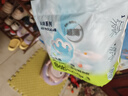 babycareAir pro拉拉裤夏季超薄透气尿不湿宝宝尿片bbc婴儿尿布迷你装 拉拉裤【XL】20片 适合12-17KG 实拍图