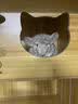 暮秋小主龙猫活物 龙猫活体幼崽宠物毛丝鼠亲人可爱家养网红活宠疫苗齐全 米色弟弟【新手推荐】 实拍图