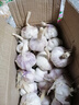 静益乐源山东紫皮蒜大蒜干大蒜蔬菜批发干蒜自种大蒜种子多瓣蒜当季蔬菜 5斤 精选今年大蒜 实拍图