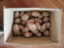 【真便宜】红皮土豆高原黄心土豆马铃薯红皮黄心洋芋 蔬菜水果 红皮土豆 9斤 单果1-3两 实拍图