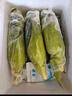 佳农宝菜浙江新鲜带绿皮爆浆白甜玉米净重3.8斤牛奶玉米5-8根源头直发 实拍图