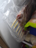 宁鑫 宁夏盐池滩羊 原切羊肉串240g 生鲜 地理标志产品 清真食品 实拍图