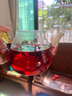 陈一凡 洛神花 精选云南玫瑰茄 玫瑰花茶 搭菊花泡水喝的花草茶袋装250g 实拍图