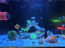 YEE鱼缸氧气泵小型鱼缸家用打充氧机养鱼专用循环泵增氧机4w 实拍图