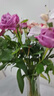 云南鲜花批发品质玫瑰百合水养鲜切花送女友水养鲜花源头直发 紫玫瑰-10支（花苞小不定品种） 【任选2件—不收运費】 实拍图