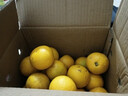 壹棵弘芯正宗高山脐橙橙子应季新果时令湖北新鲜水果手剥橙子生鲜整箱 5斤特选家庭超值装 净重约为4斤 实拍图