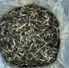 乐品乐茶头采芽毛尖特级2025新茶绿茶明前嫩芽茶叶礼盒装250g送长辈领导 实拍图