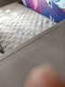 洁丽雅（Grace）A类新疆棉花纤维床垫褥子0.9米学生单人榻榻米 90*200cm 兰小格 实拍图