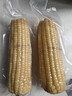 京鲜生东北白糯玉米330g*8根 甜黏玉米低脂早餐代餐粗粮真空装 源头直发 实拍图