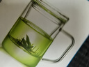 忆壶茶玻璃茶杯个人专用泡茶水分离带盖把手耐热办公室绿茶水杯子 实拍图
