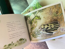 呱呱旅行社4册套装 最美的法布尔昆虫记作者松冈达英大师绘本 儿童自然科普动植物昆虫百科全书3-6岁爱心树童书 实拍图