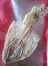 万景 北海淡干手撕鱿鱼干 净重250g/袋(19-22只)海鲜干货  煲汤烧烤 实拍图