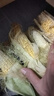 【生吃爆浆】金银双色水果玉米甜脆新鲜带壳代餐孕妇控糖0脂即食 黄金水果玉米 3斤【约3-4根】 实拍图
