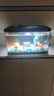 米家（MIJIA）智能生态鱼缸定时喂食智能鱼缸+画法几何增氧泵套装 实拍图