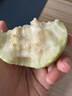 奶油即食芭乐黄心芭乐 超级软糯香甜  送酸梅粉新鲜水果 3斤装（4-8个果） 实拍图