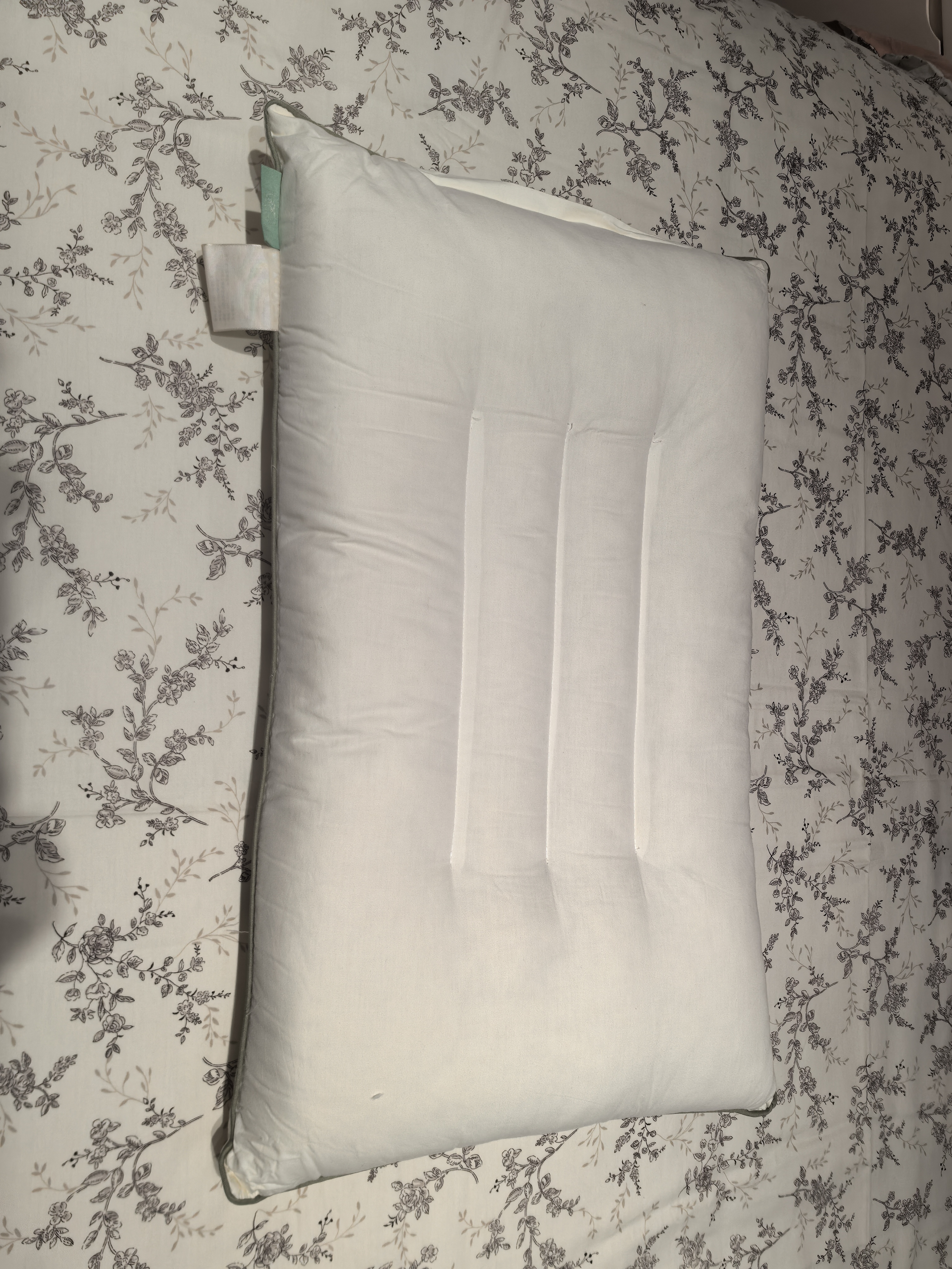 张御（ZiiU）艾草护颈枕 100%艾草填充深度睡眠呵护颈椎枕40*10cm 实拍图