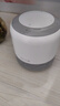 小度智能音箱 旗舰版 百度蓝牙音响 语音AI控制家居 闹钟收音机 儿童早教启蒙故事机 老人陪伴礼物送礼 实拍图